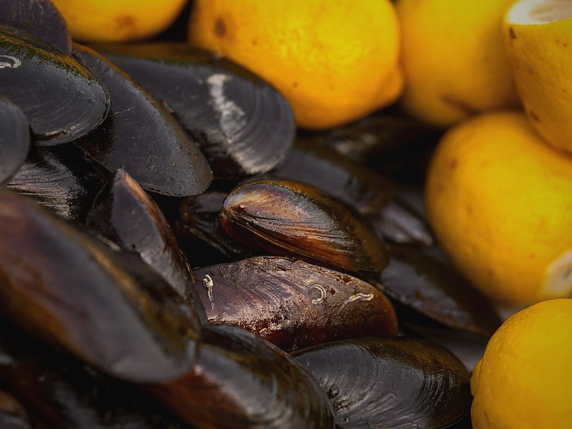 Koyu zeminde limonlu midye